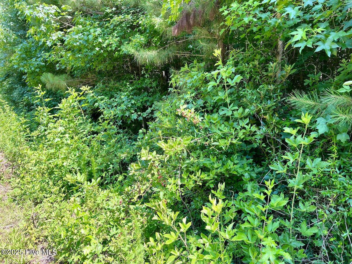 00 Long Ridge Road Property Photo 80