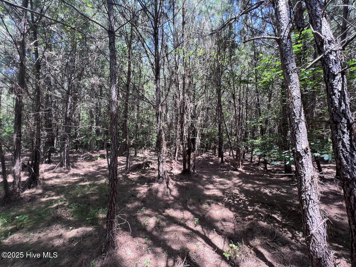 00 Long Ridge Road Property Photo 86