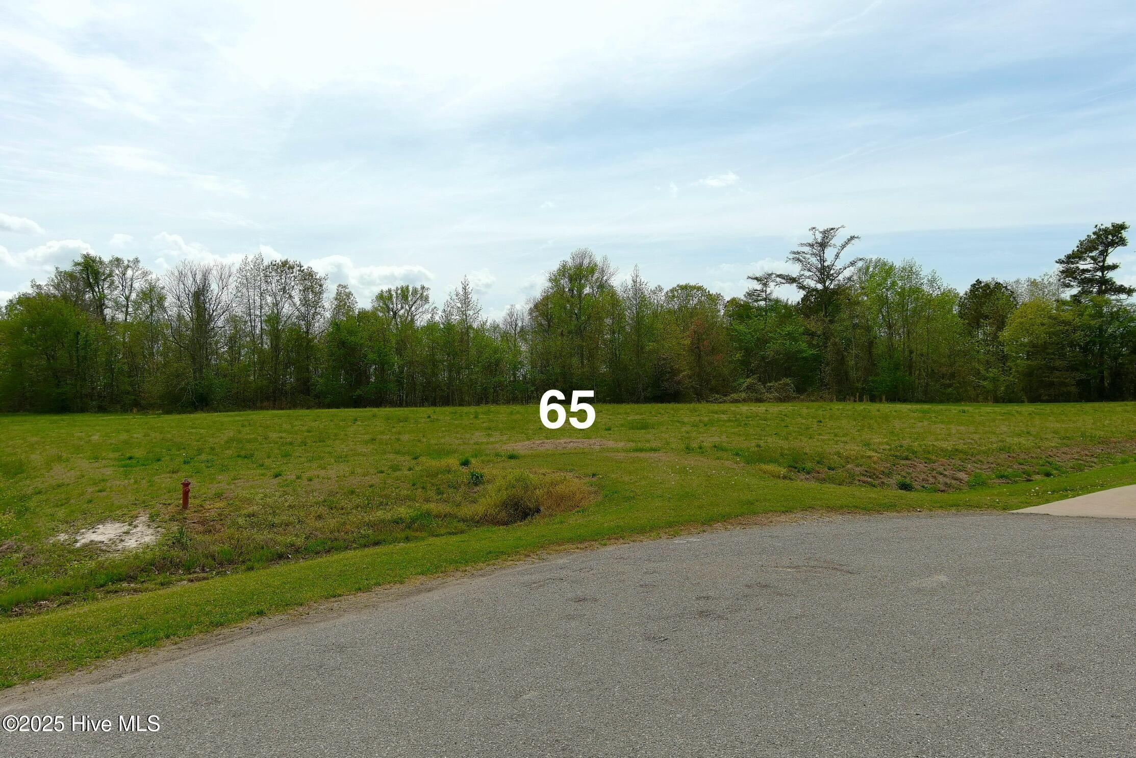 Lot 65 Pelican Court Property Photo 1