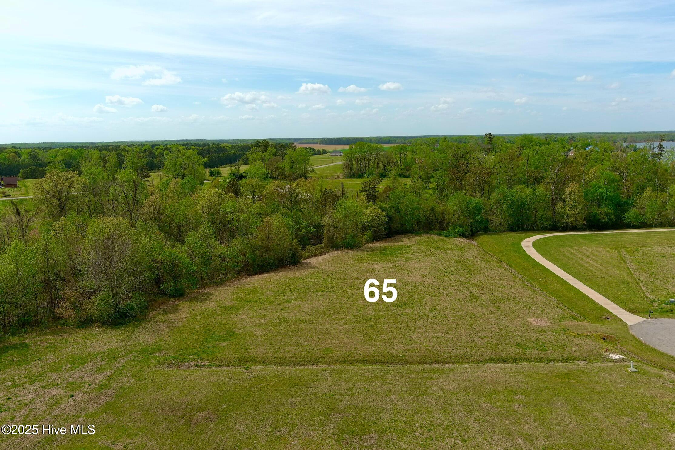 Lot 65 Pelican Court Property Photo 4
