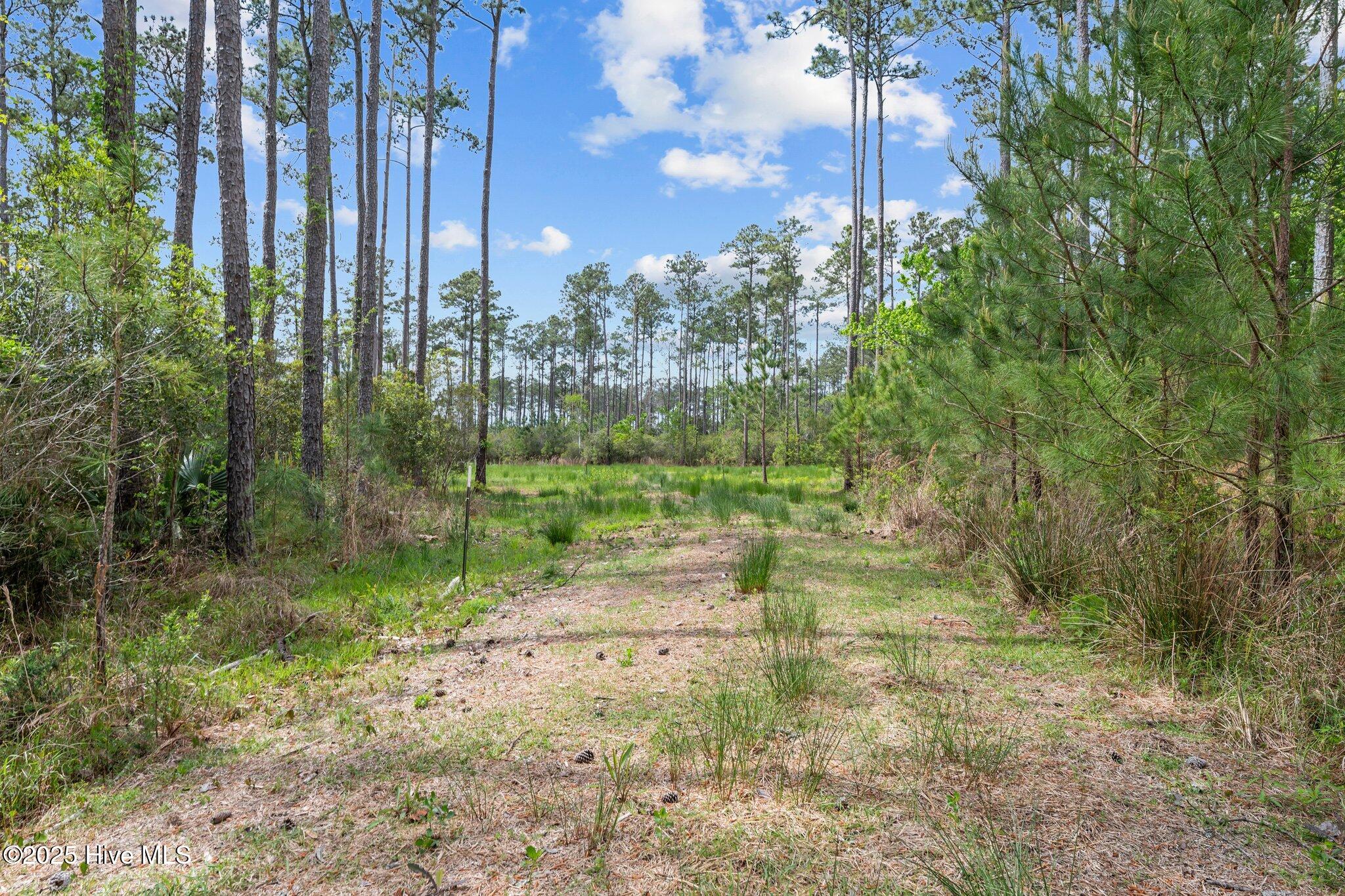 3411 2 Upper Neck Road Property Photo 3