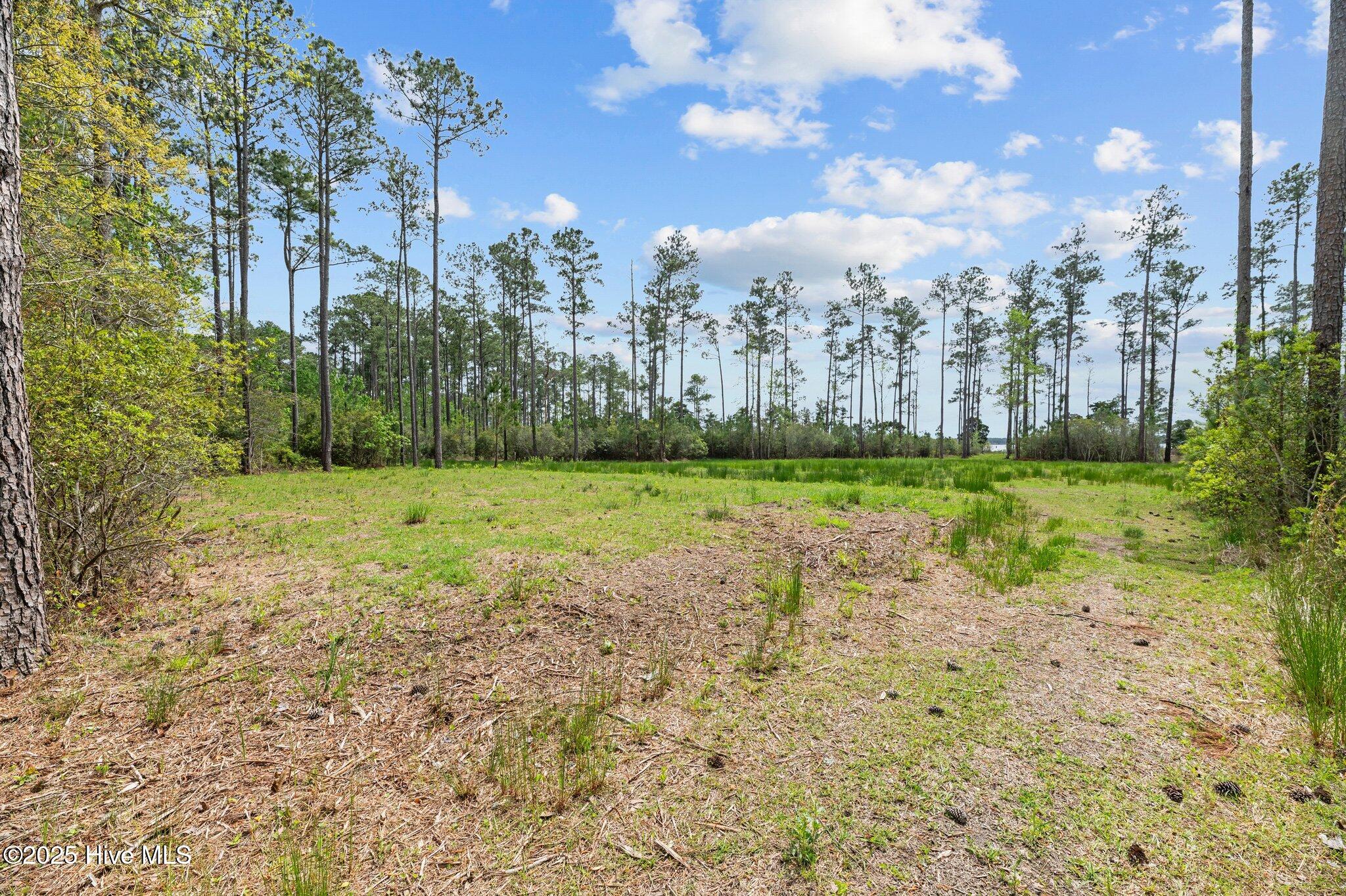 3411 Upper Neck Road Property Photo 5