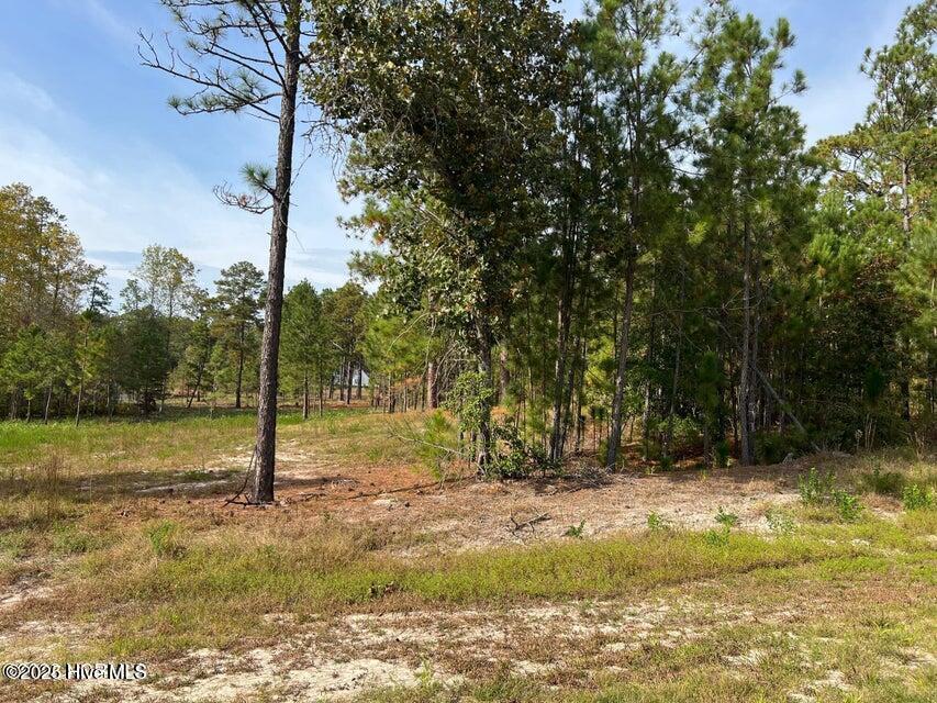 7018 Harrison Lane Property Photo 2