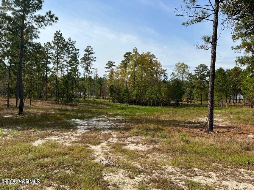 7018 Harrison Lane Property Photo 5