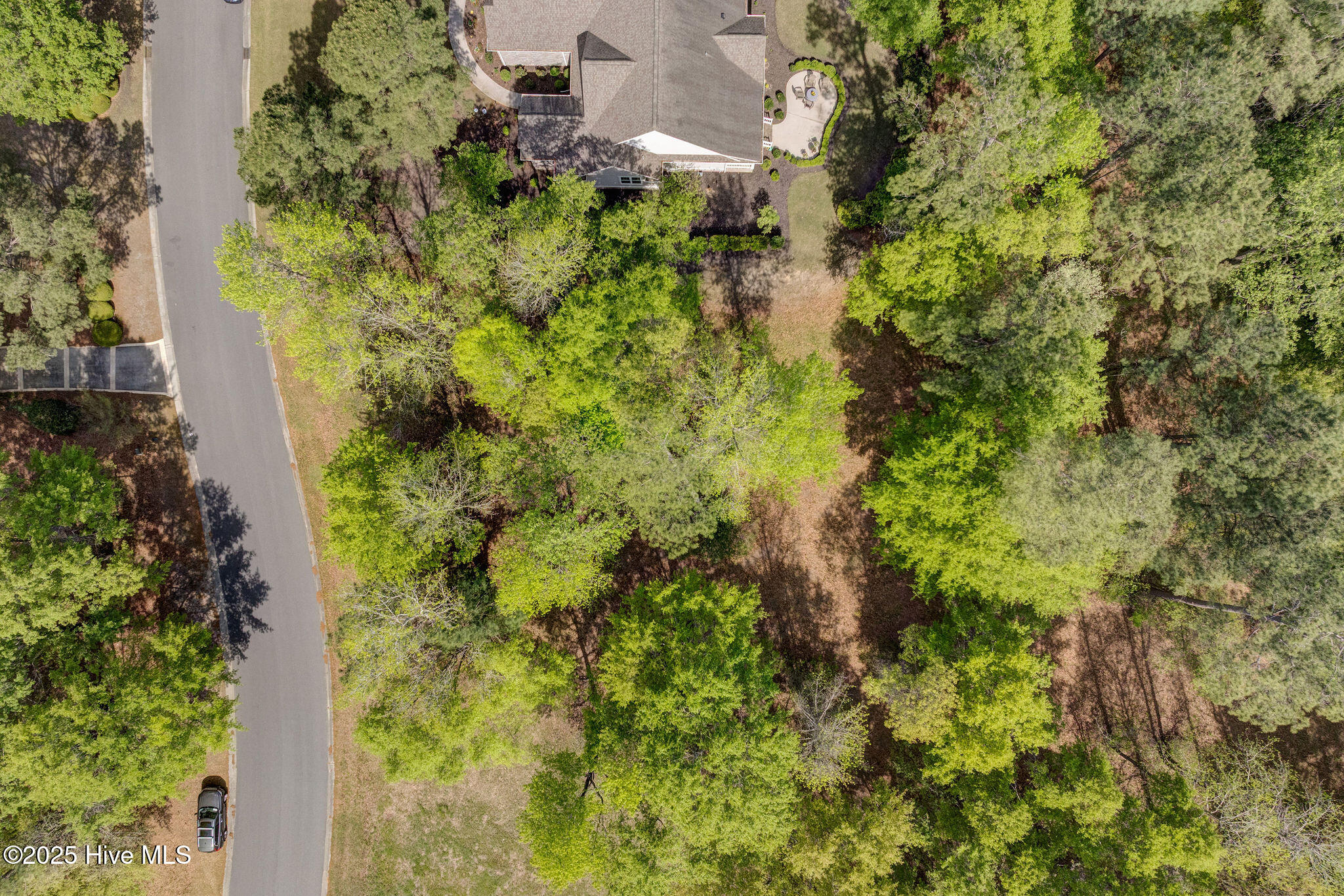 161 Maple Creek Drive Property Photo 2