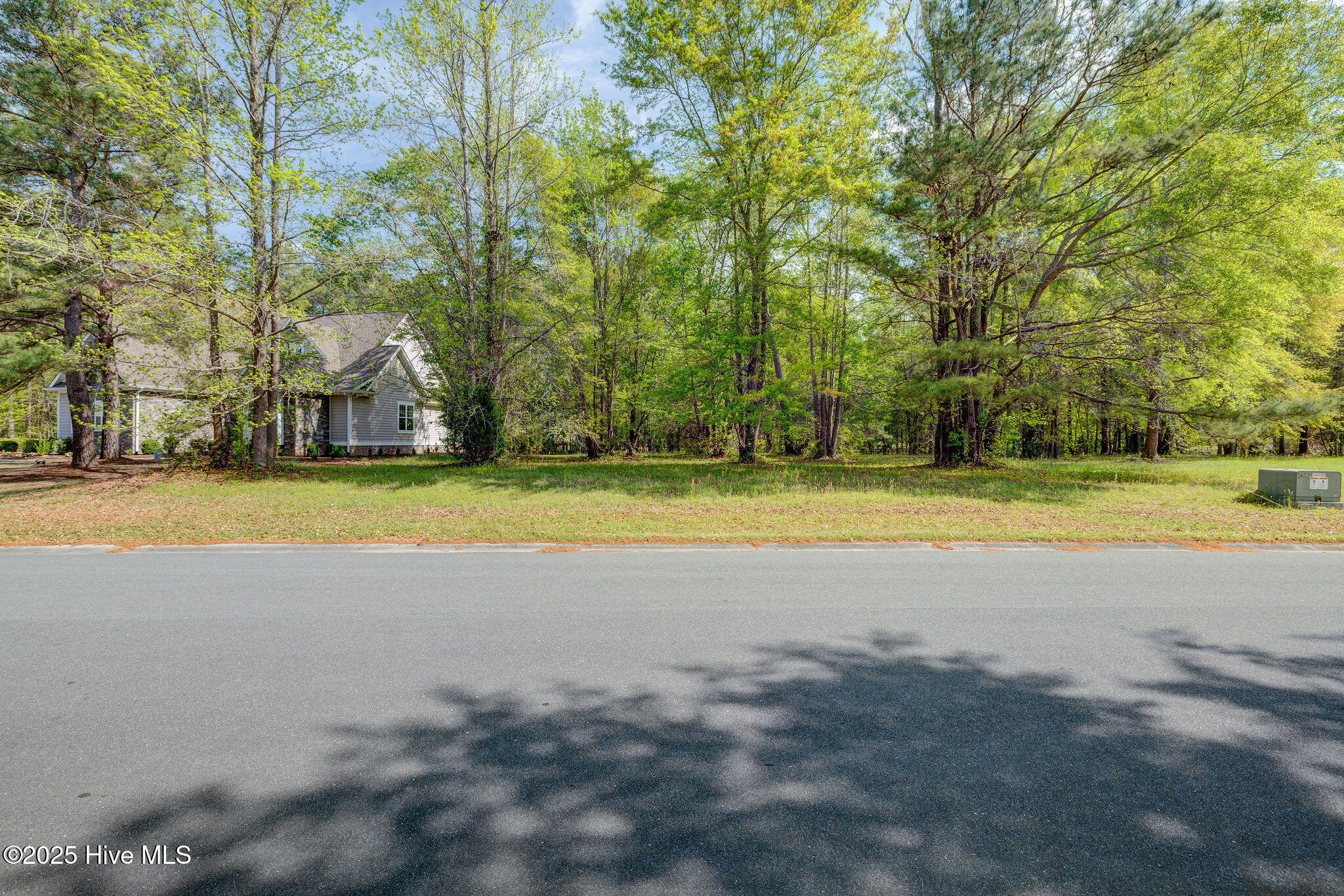 161 Maple Creek Drive Property Photo 6