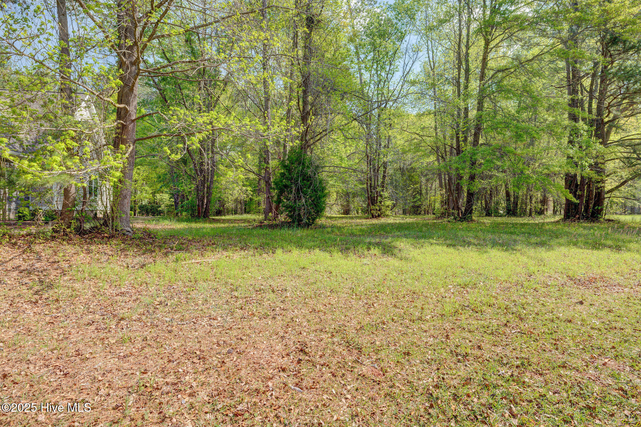 161 Maple Creek Drive Property Photo 8
