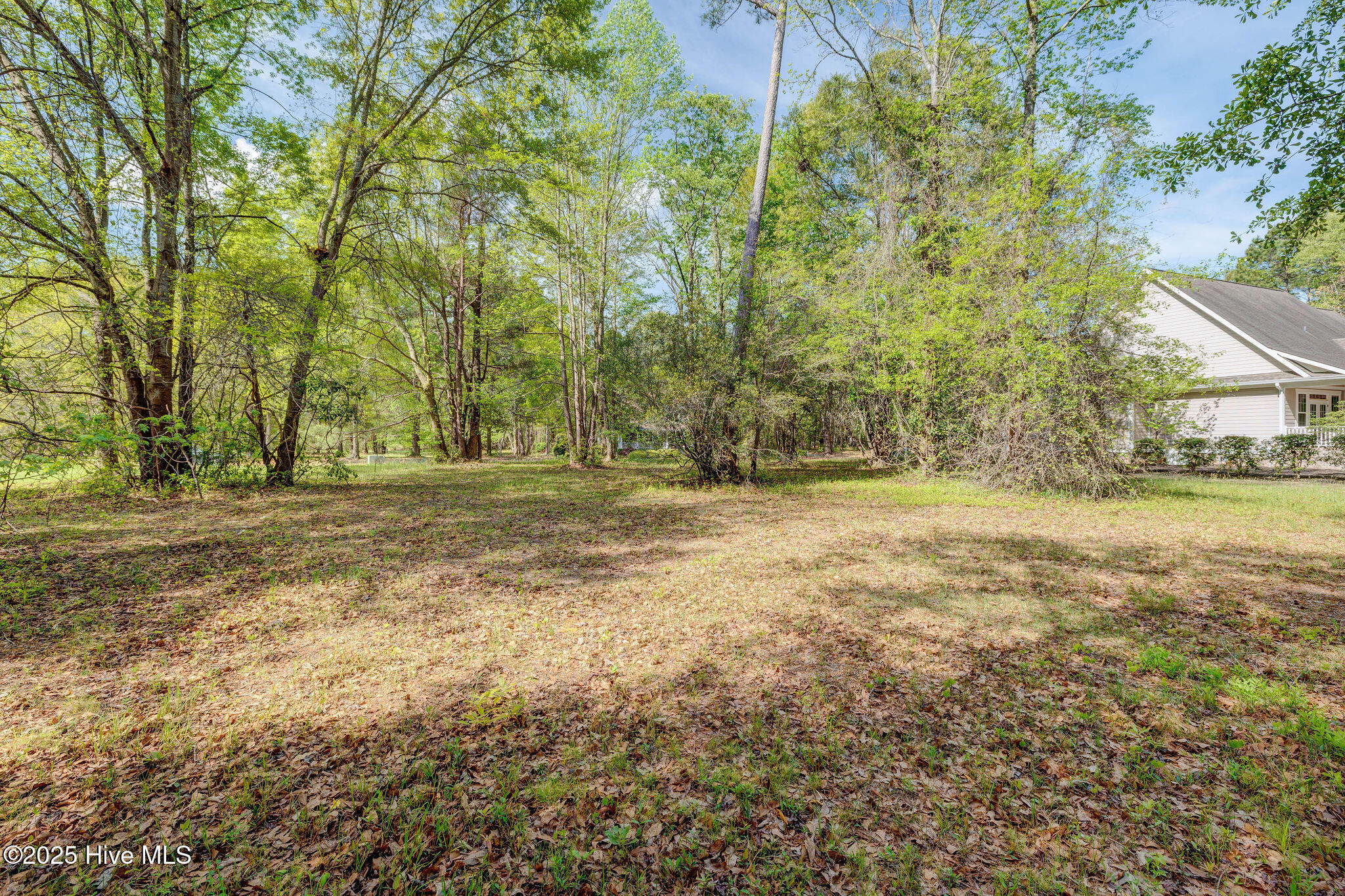161 Maple Creek Drive Property Photo 12