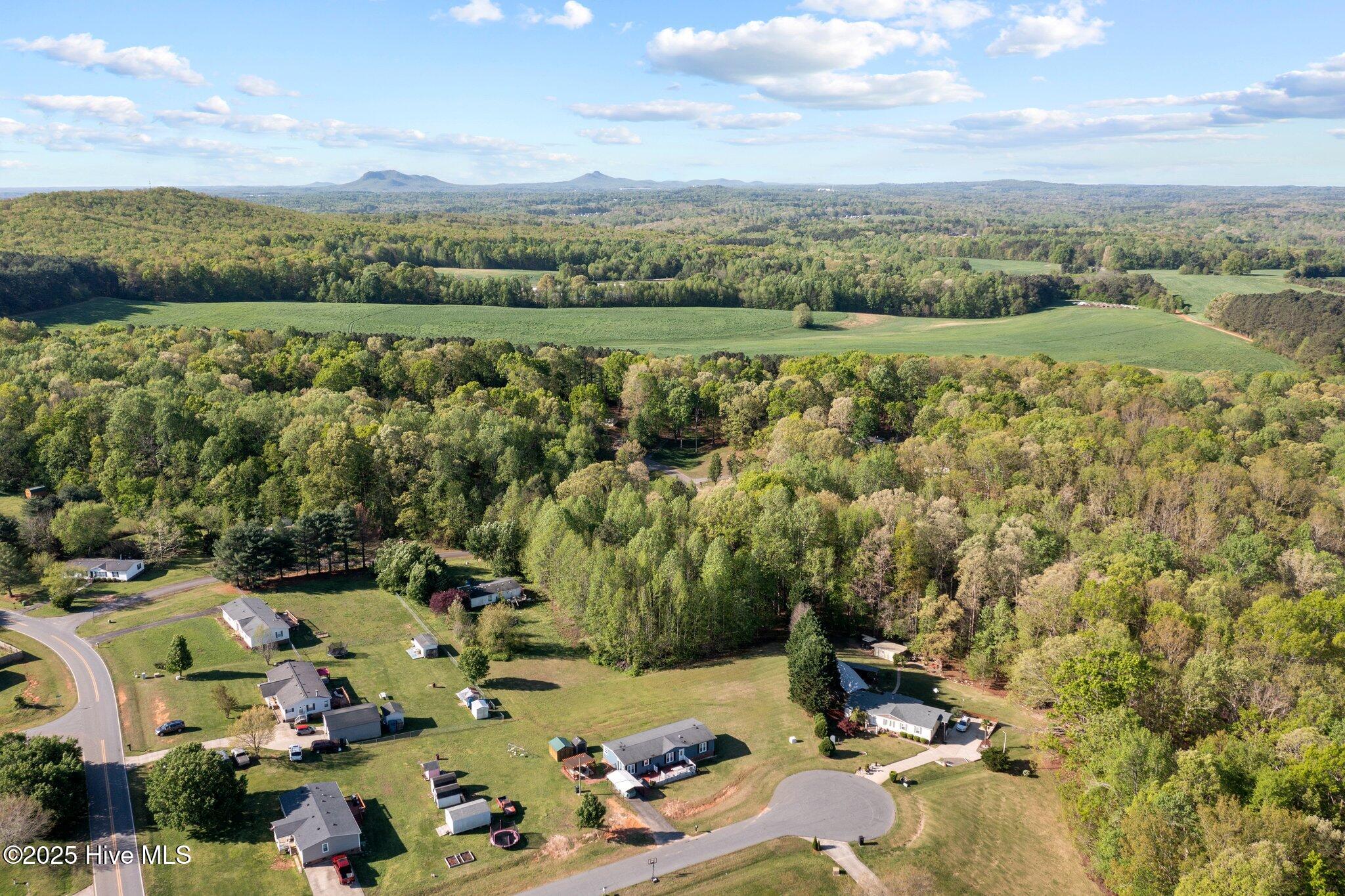 1018 Cherry Tree Court Property Photo 15