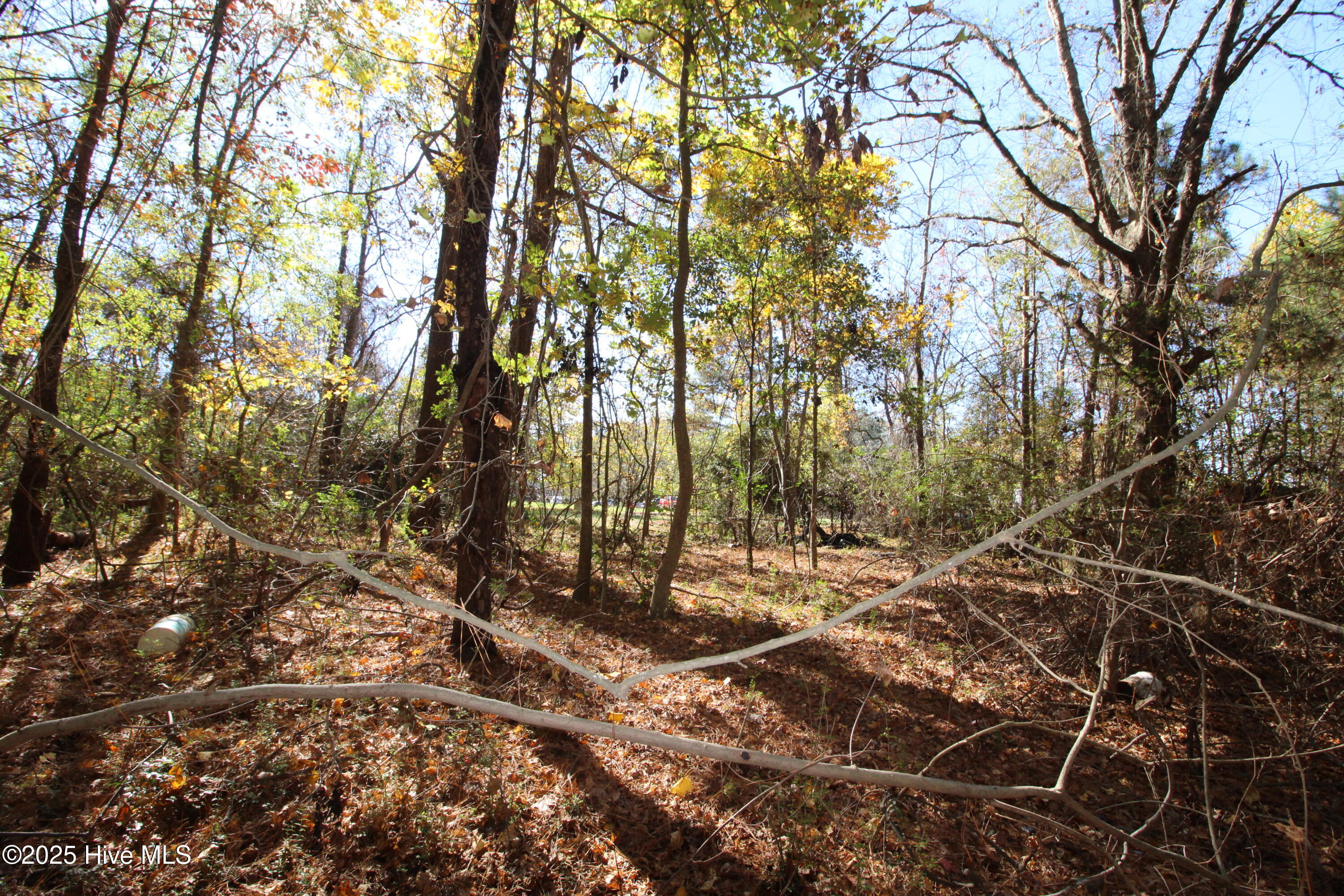 936 W Holly Springs Road Property Photo 10