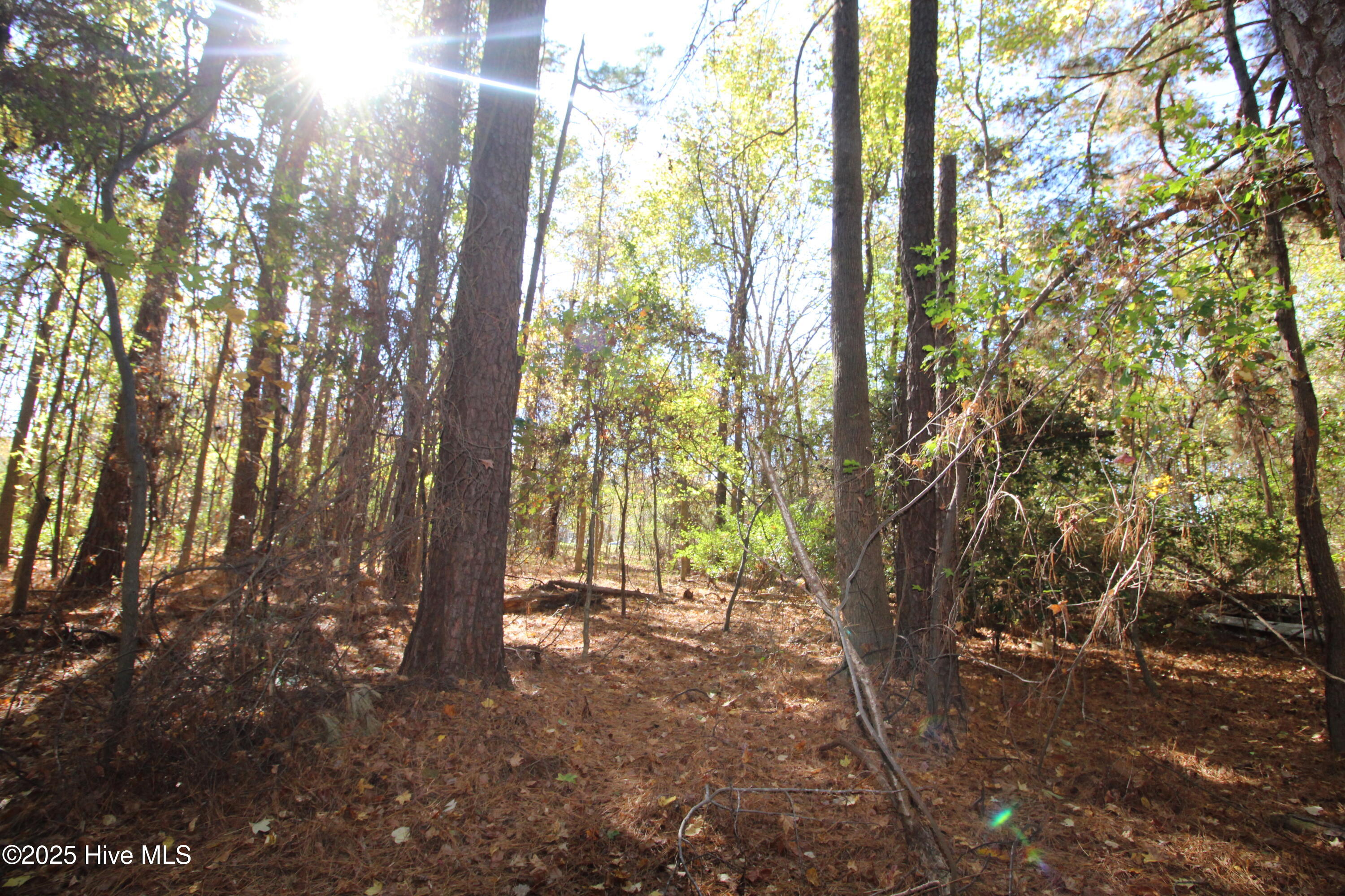 936 W Holly Springs Road Property Photo 11