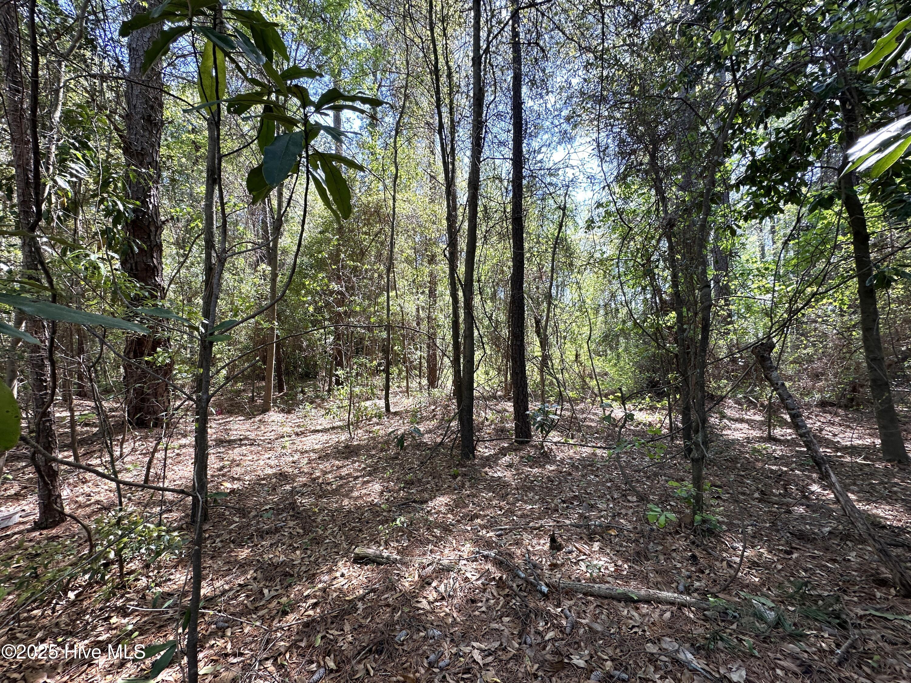 0 E Williams Street Property Photo 6