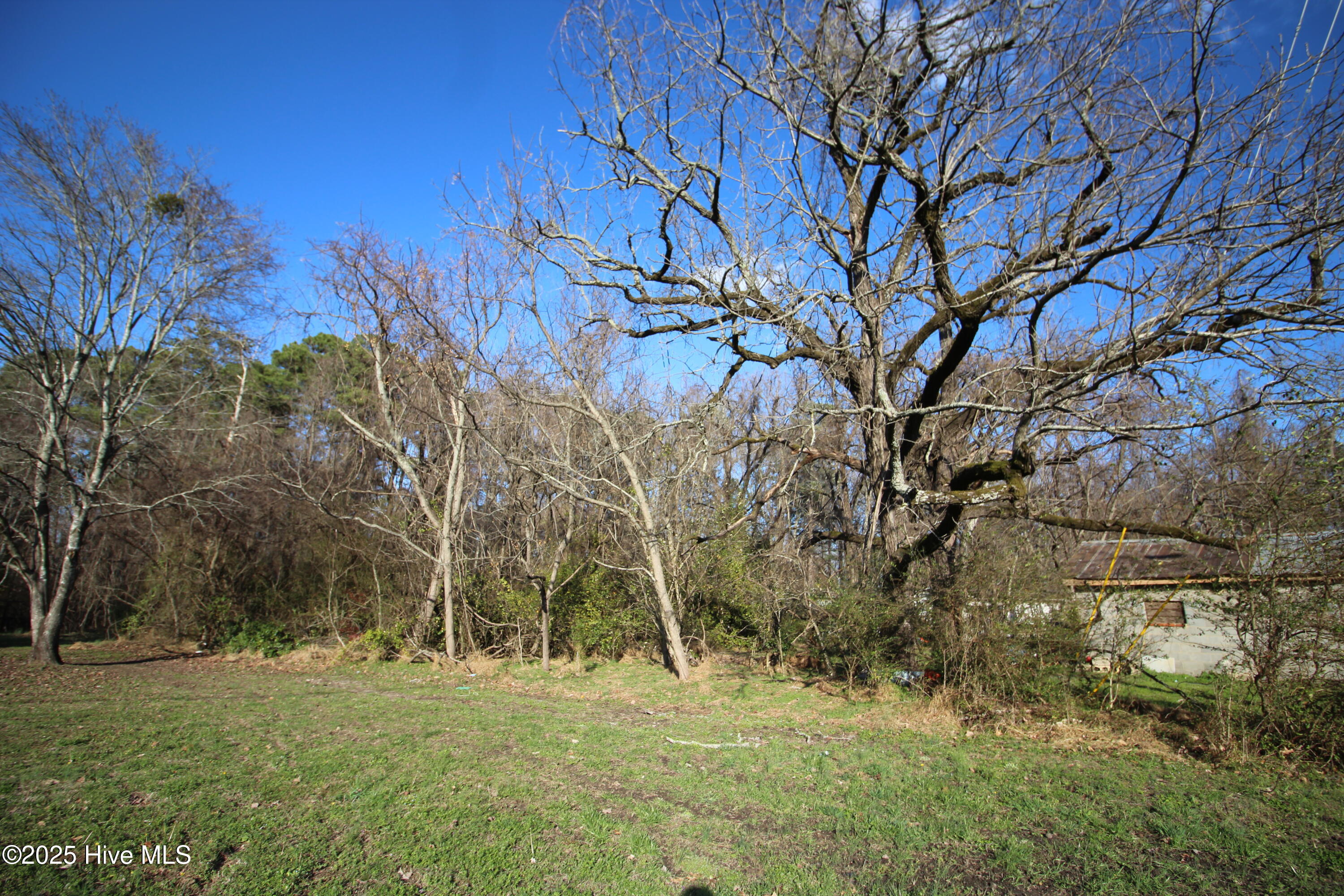 920 W Holly Springs Road Property Photo 4