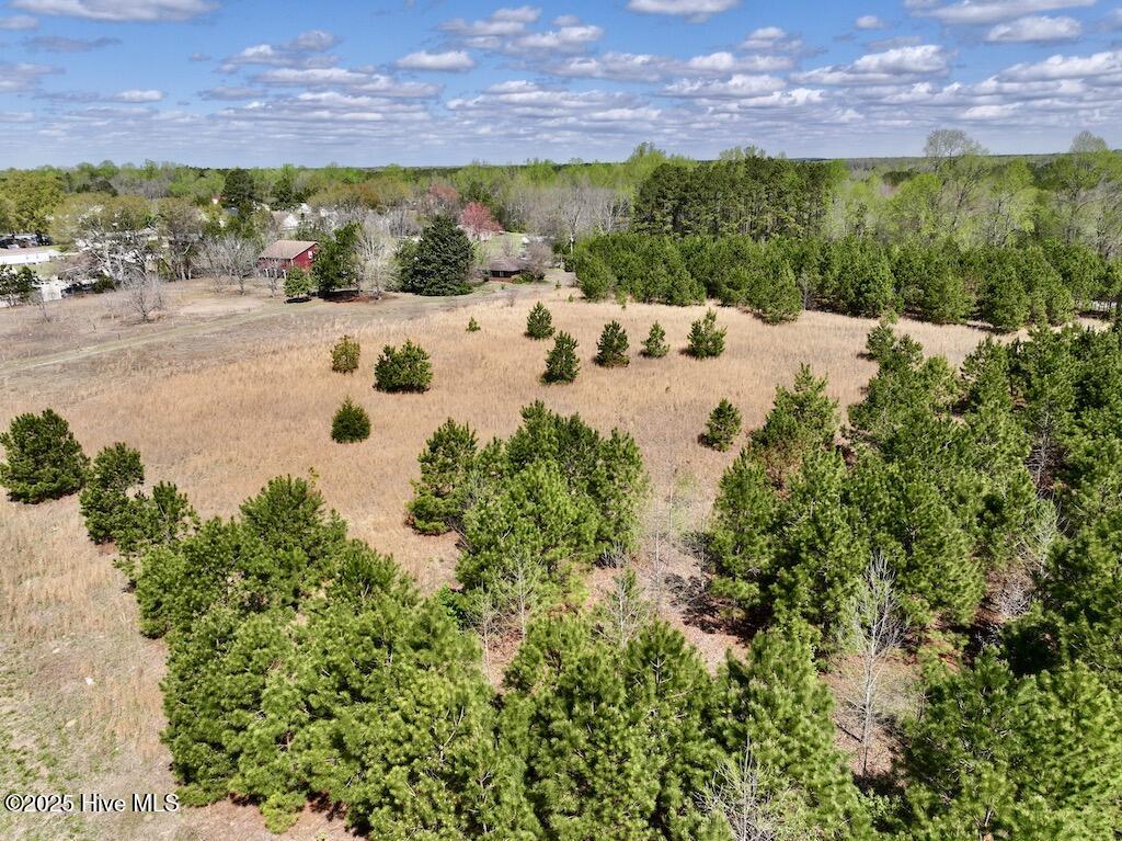 0 Old Washington Road Property Photo 20
