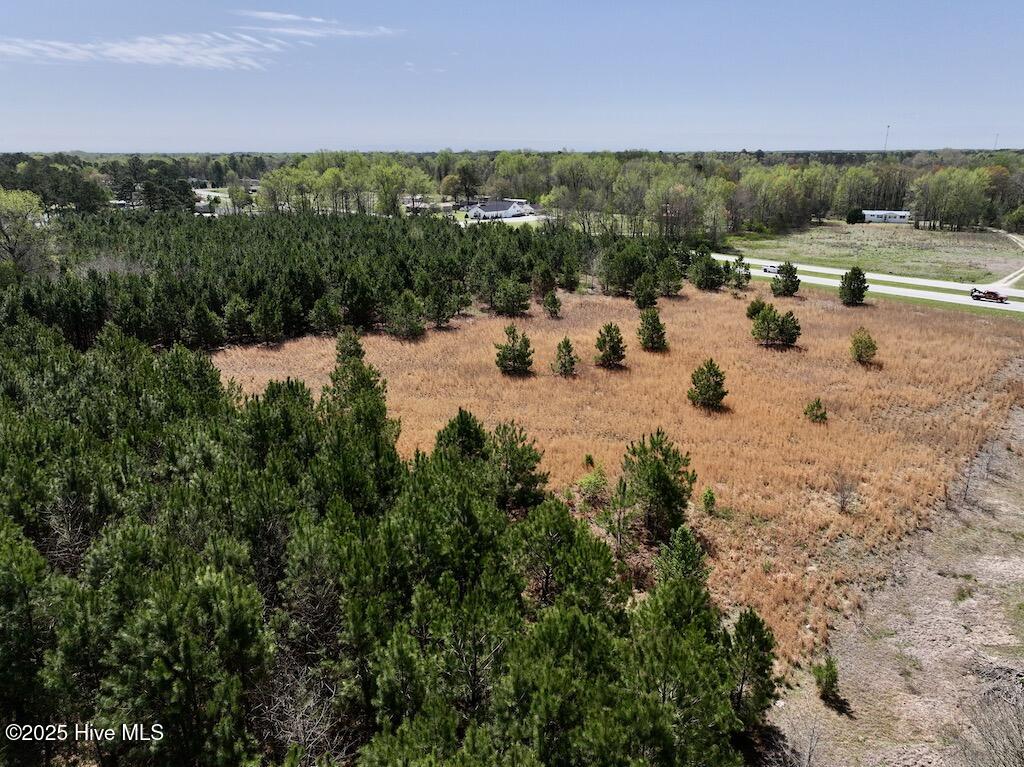 0 Old Washington Road Property Photo 21