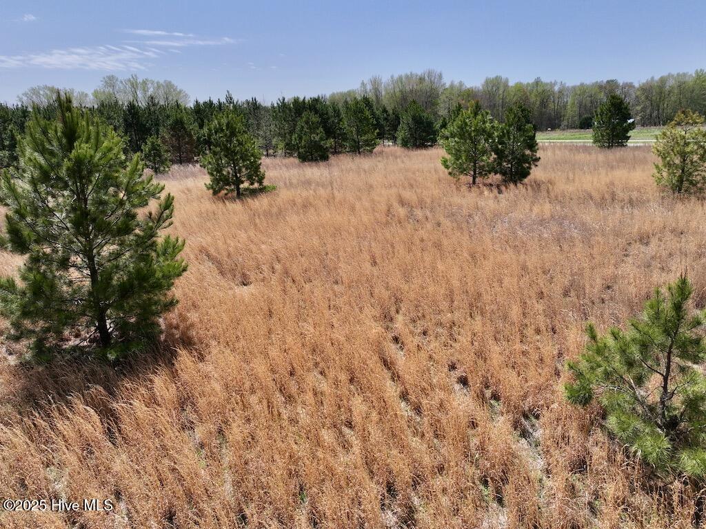 0 Old Washington Road Property Photo 25