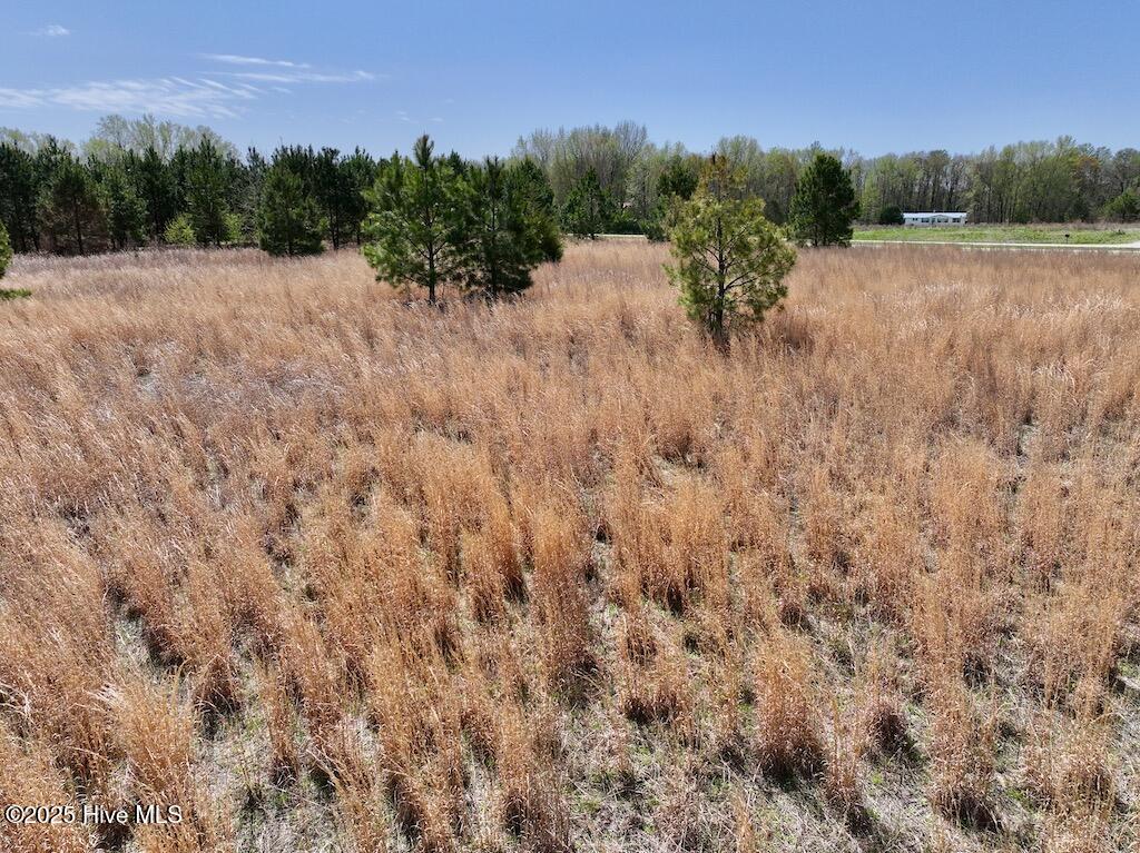 0 Old Washington Road Property Photo 27