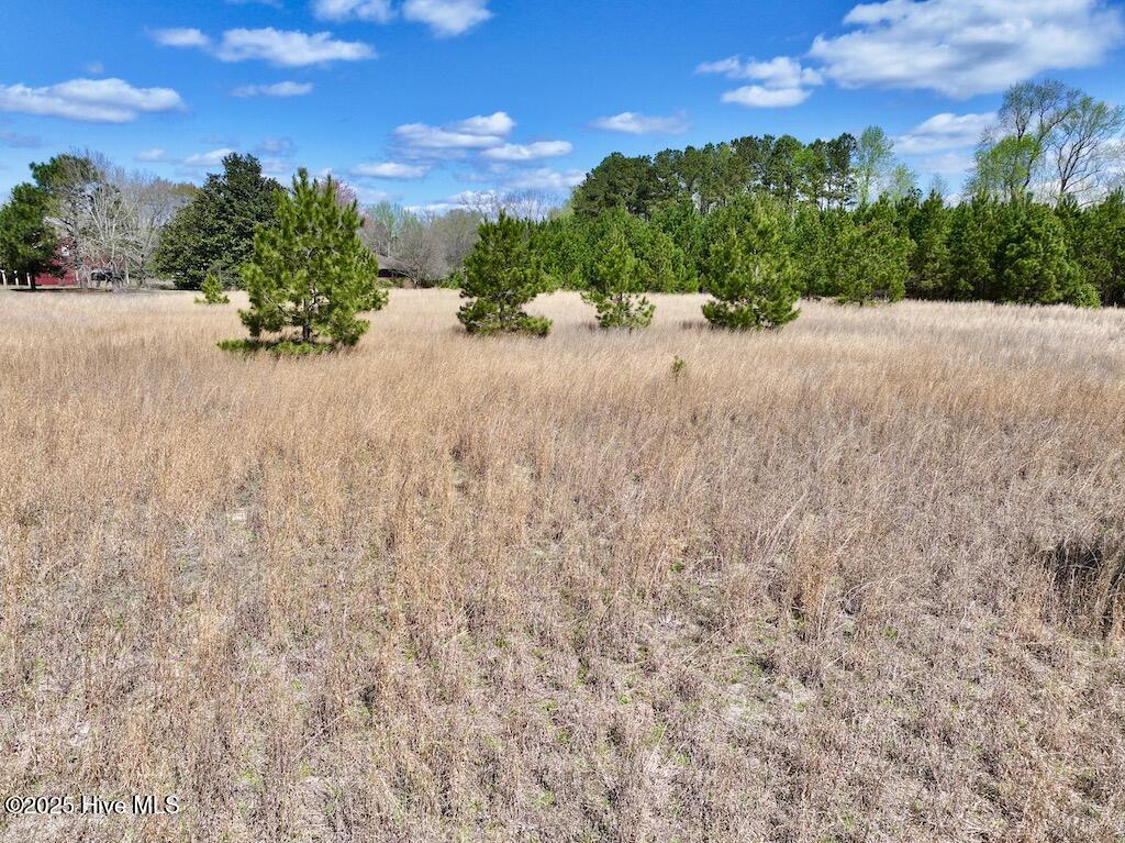 0 Old Washington Road Property Photo 29