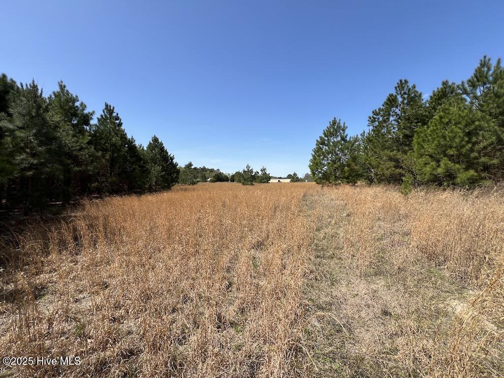 0 Old Washington Road Property Photo 30