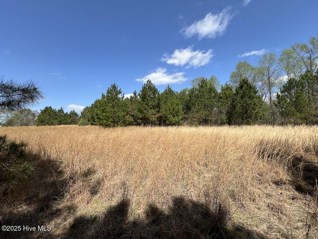 0 Old Washington Road Property Photo 31
