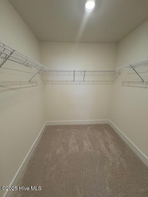 3606 Delta Drive Property Photo 21