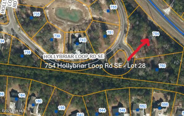 754 Hollybriar Loop Road Property Photo 11