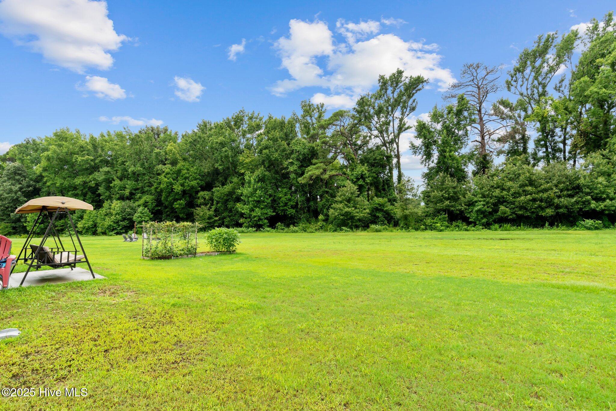 4444 Marthas Village Lane Property Photo 16