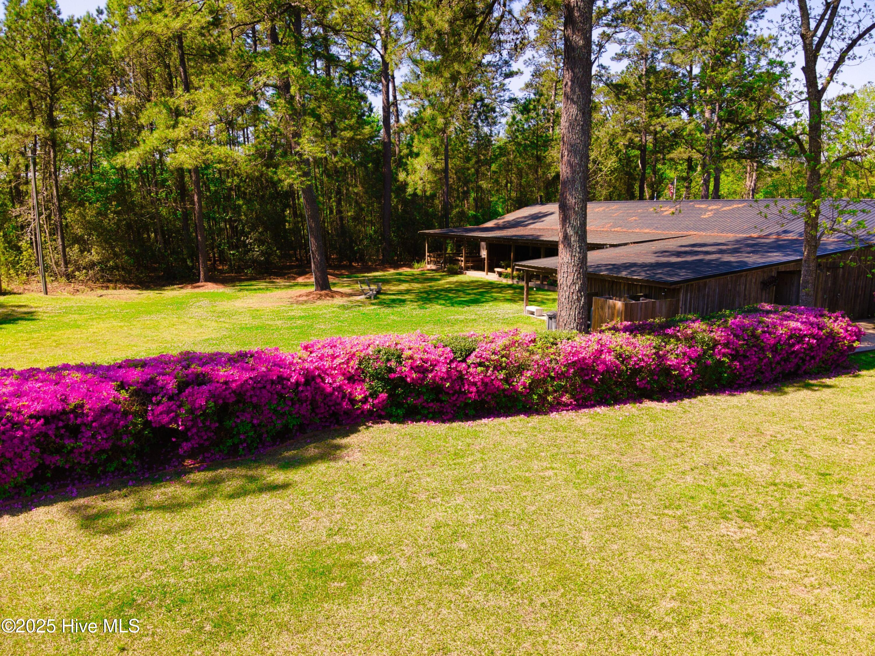 2589 Sidney Cherry Grove Road Property Photo 9