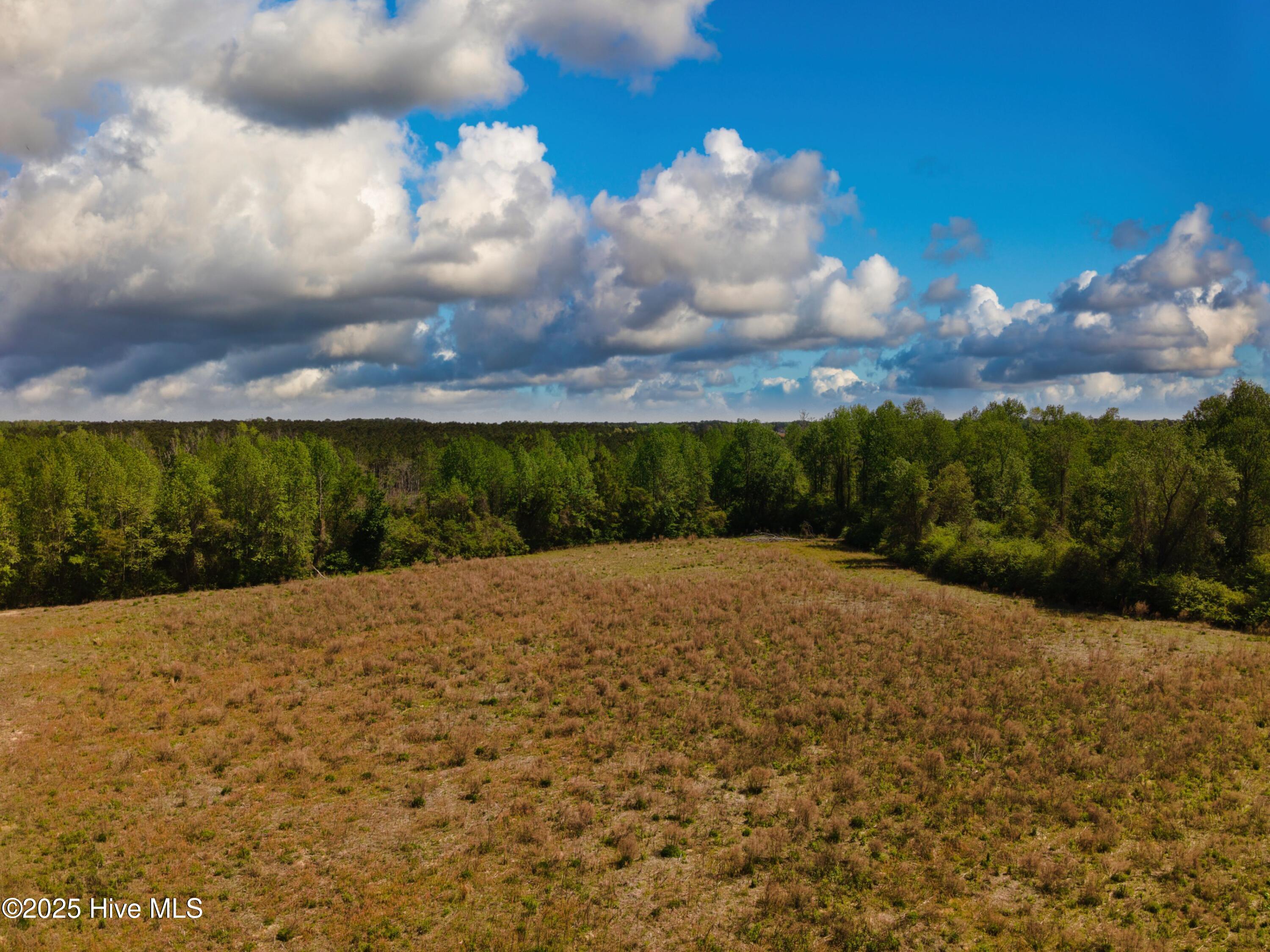 3390 Sidney Cherry Grove Road Property Photo 4