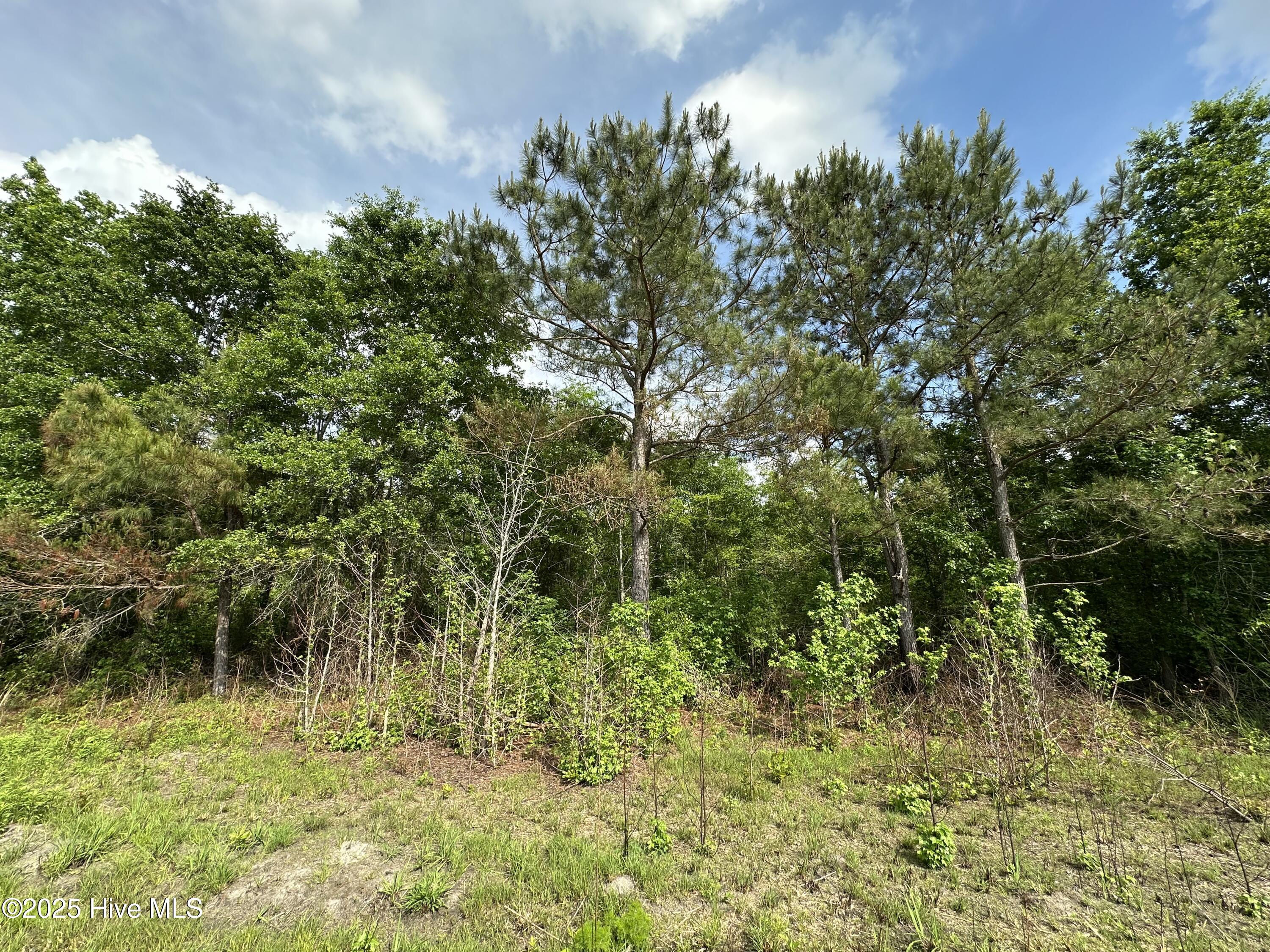 Tbd3 Mcgirt Road Property Photo 3