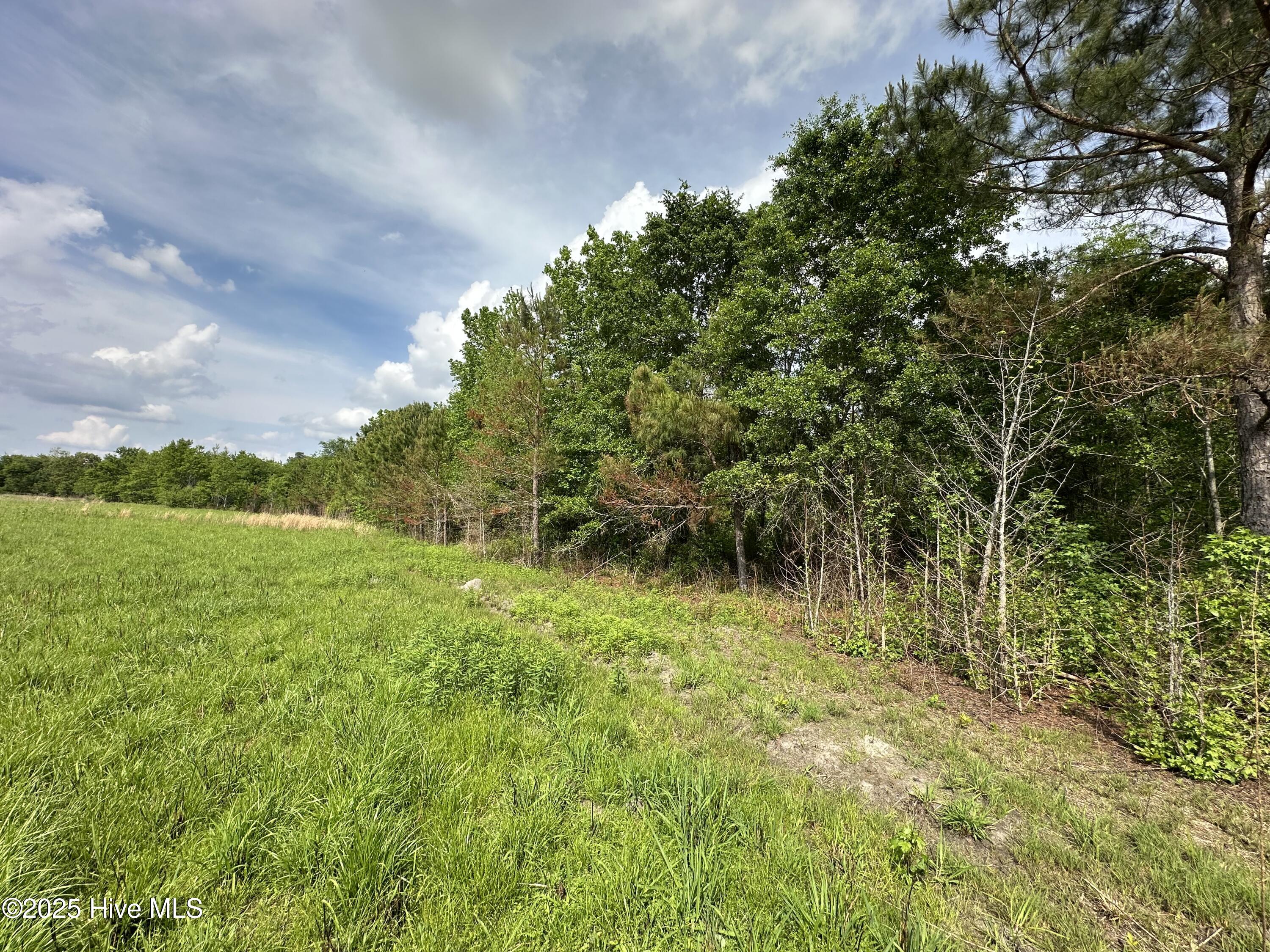 Tbd3 Mcgirt Road Property Photo 4