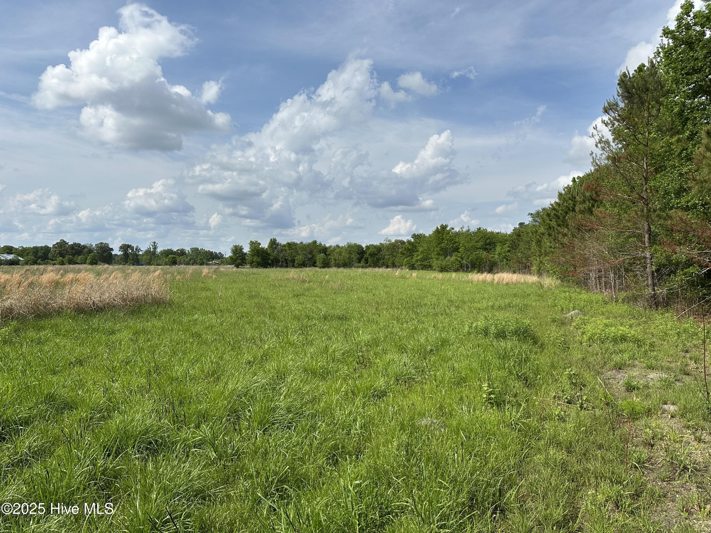 Tbd3 Mcgirt Road Property Photo 5