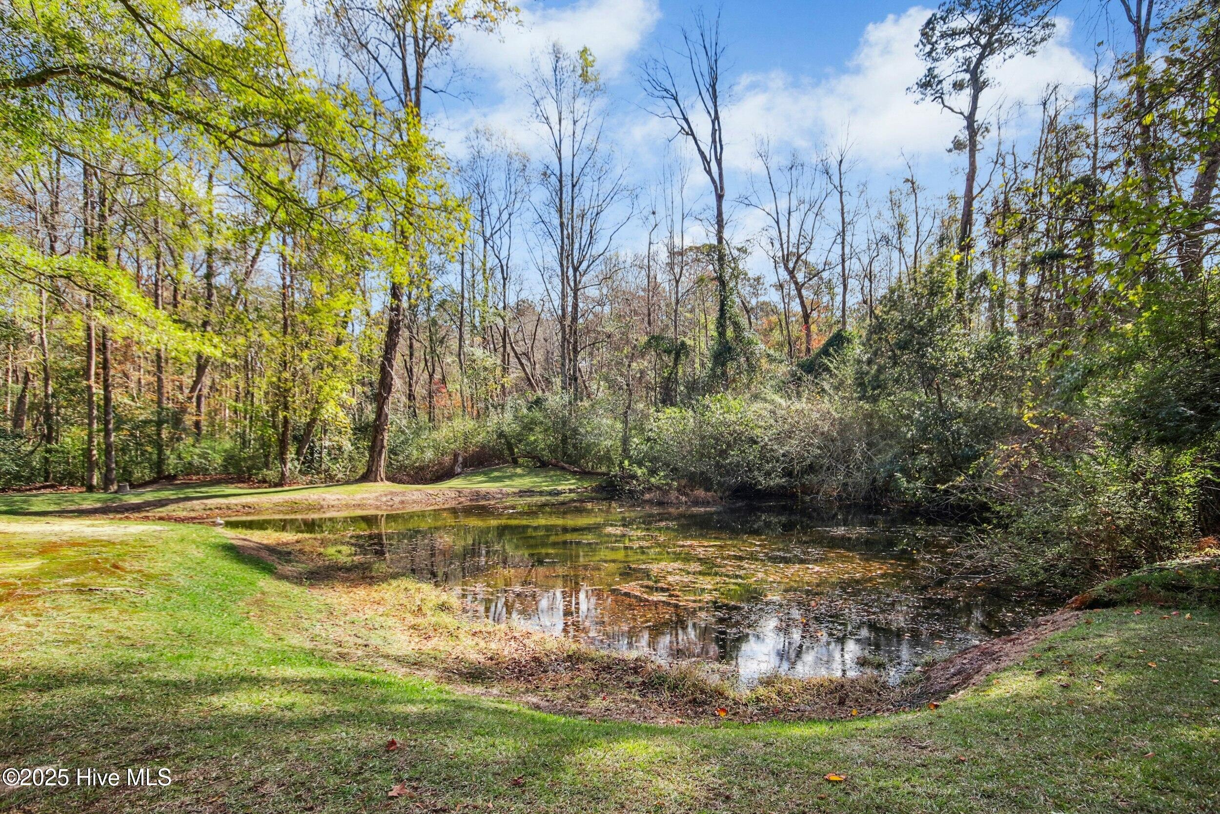 460 Mann Road Property Photo 41