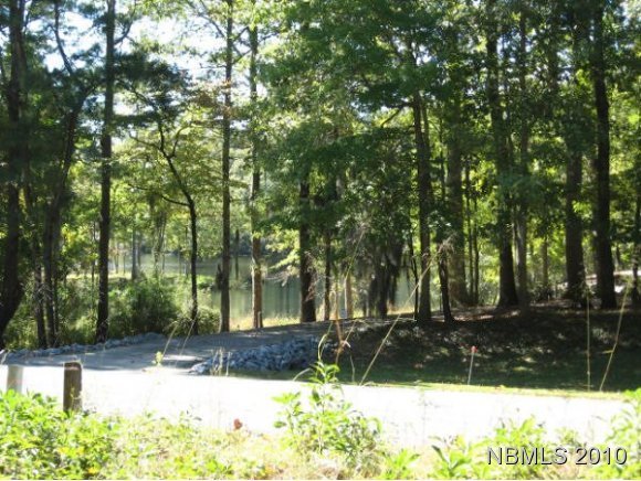 461 Country Club Drive Property Photo 2