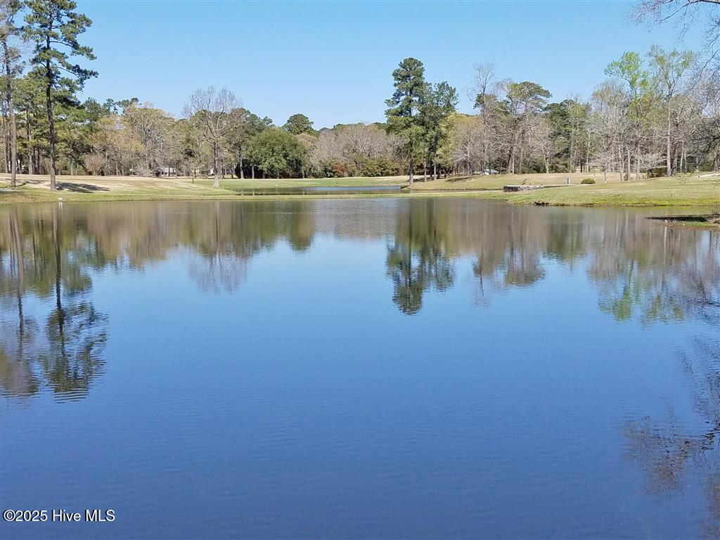 461 Country Club Drive Property Photo 6