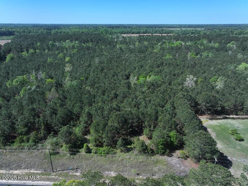 Tbd Williamson Road Property Photo 3
