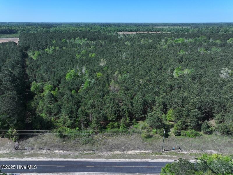 Tbd Williamson Road Property Photo 4
