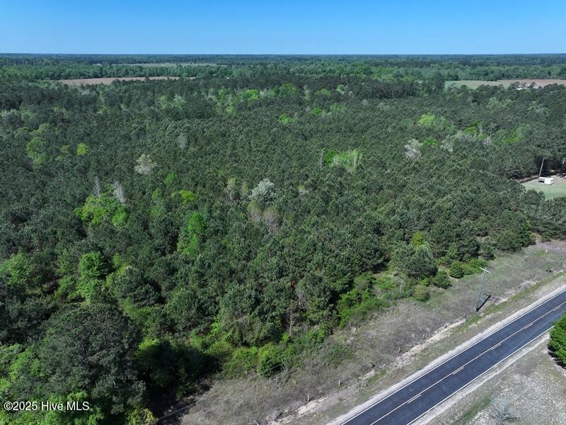 Tbd Williamson Road Property Photo 5