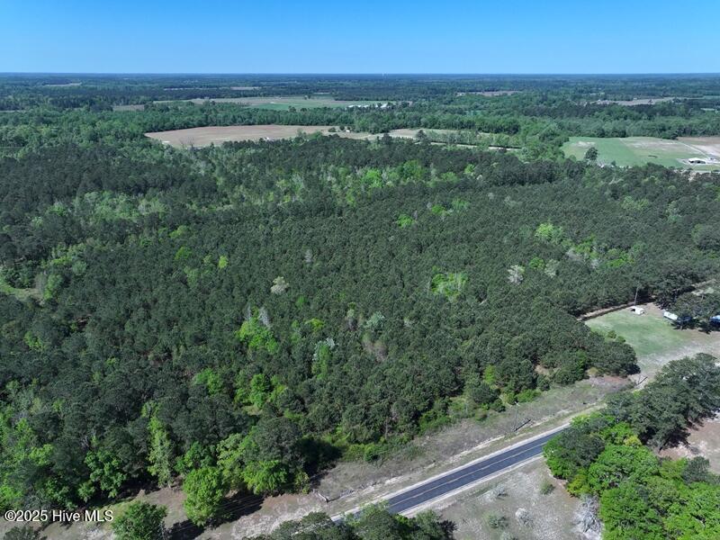 Tbd Williamson Road Property Photo 6