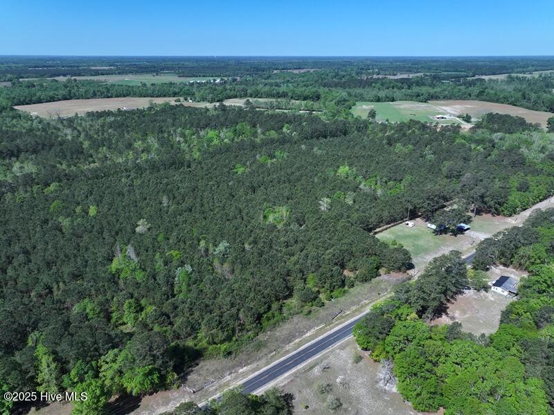 Tbd Williamson Road Property Photo 7