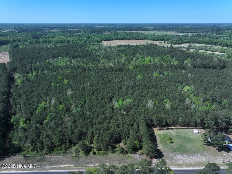 Tbd Williamson Road Property Photo 8