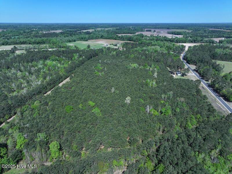 Tbd Williamson Road Property Photo 9