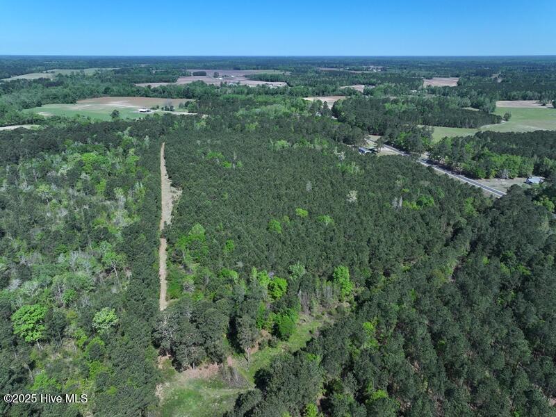 Tbd Williamson Road Property Photo 10