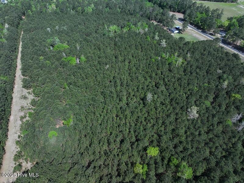 Tbd Williamson Road Property Photo 11