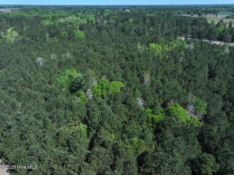 Tbd Williamson Road Property Photo 13