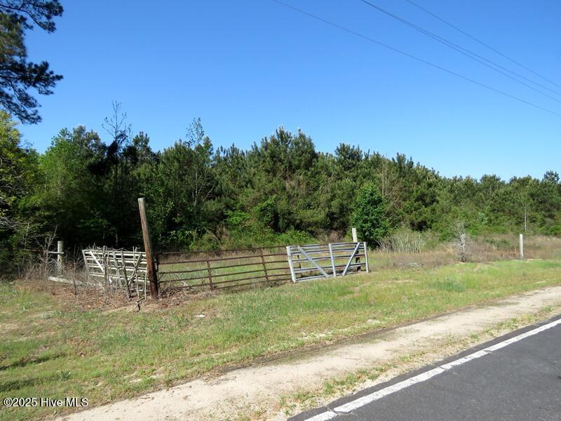 Tbd Williamson Road Property Photo 15