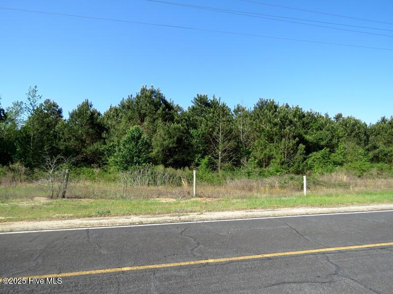 Tbd Williamson Road Property Photo 17
