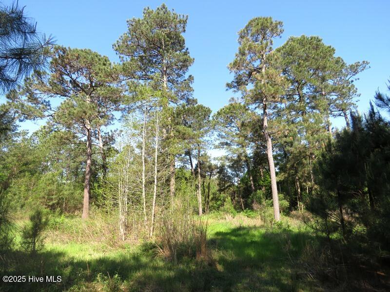 Tbd Williamson Road Property Photo 19