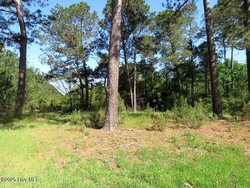 Tbd Williamson Road Property Photo 20