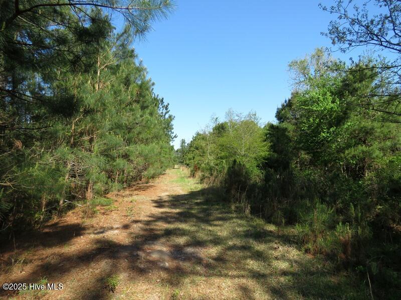 Tbd Williamson Road Property Photo 21